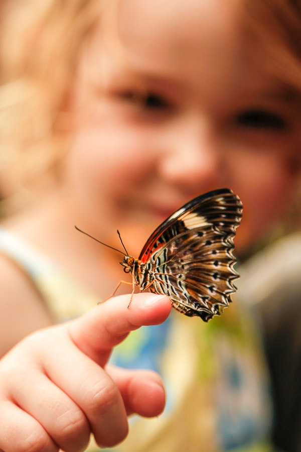 girl and butterfly