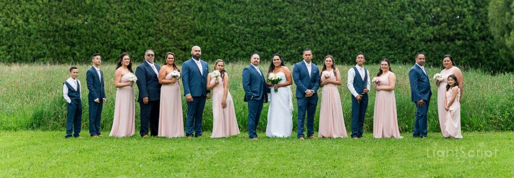 Wedding at Markovina, Auckland