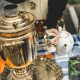 Russian Days Tauranga